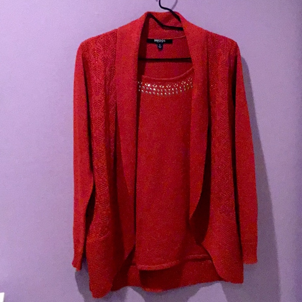 RESERVED FOR @chmakuch **NOT FOR SALE**Ladies Red Sweater Size PL. Briggs Petite